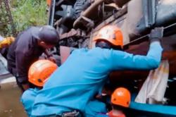 Kecelakaan Minibus Elf Terjun Jurang 15 Meter di Puncak Bogor, Sopir Tewas Terjepit