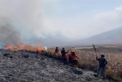BNPB: 4 Petugas Gugur saat Padamkan Karhutla Bromo