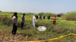 Hilang 14 Hari, Ayah Dua Anak Ditemukan Tewas Membusuk di Sawah Sidoarjo