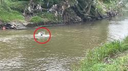 Penggerebekan Narkoba di Medan Diwarnai Tembakan, Sejumlah Orang Nekat Nyemplung ke Sungai