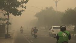 Kasus ISPA di Palangka Raya Naik Jadi 11.276, Kabut Asap Karhutla Ancam Kesehatan