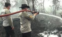 2 Korporasi dan Direktur Jadi Tersangka Karhutla di Kalteng, Terancam 10 Tahun Bui