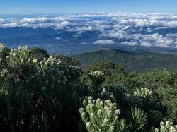 Sebelum Terbakar, Begini Keindahan Gunung Ciremai yang Bikin Pendaki Jatuh Hati