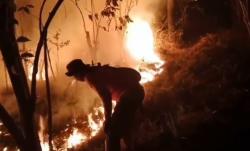 Karhutla Gunung Ciremai Meluas Tembus 60 Hektare, Angin Kencang Hambat Pemadaman