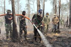 Karhutla Way Kambas Belum Padam, 350 Personel Dikerahkan hingga ke Titik Api