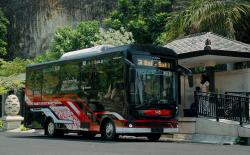 Gandeng Karoseri Lokal, Hyundai Rilis 11 Bus Listrik di Bali
