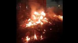 Lahan Perhutani Jember Terbakar, Pohon Jati dan Warung UMKM Terancam