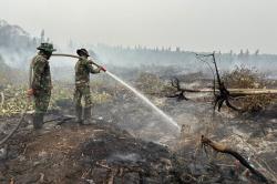 Update Karhutla: 1.566 Hektare Lahan di Kalimantan Masih Terbakar, Sumatera Sisa 23 Ha