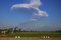 Sejak Letusan yang Tewaskan Mbah Maridjan, Merapi Sudah 7 Kali Erupsi