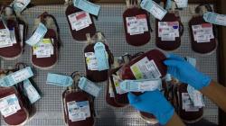 Stok Darah PMI Menipis Jelang Lebaran