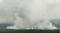 Kebakaran Lahan di Muara Medak, Asap Putih Membubung Tinggi