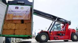 18 Ton Sabut Kelapa Produksi Warga Binaan Lapas Pahuwato Diekspor ke China