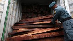 6 Kontainer Kayu Ilegal asal Papua Barat Berhasil Diamankan