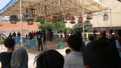 Kicau Mania Rebutkan 2 Unit Sepeda Motor di Lomba 11 Tahun BnR