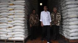 Presiden Jokowi Cek Ketersediaan Stok Beras Bulog 