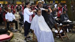 Presiden Jokowi Potong Rambut di Bawah Pohon, Begini Hasilnya