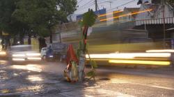 Jalan Nasional di Tulungagung Rusak Ditanami Pohon Pisang