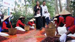 Menteri BUMN Dorong Produksi Kopi Arabika karena Diminati Pasar Luar Negeri