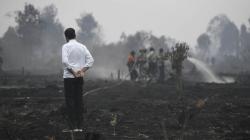 Presiden Jokowi Cek Penanganan Kebakaran Hutan dan Lahan di Riau