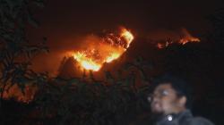Kebakaran di Hutan Gunung Ranti, Jalur Pendakian Ijen Ditutup Sementara