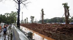 Pemprov Jakarta Akan Ganti 3 Kali Lipat Pohon di Monas yang Ditebang