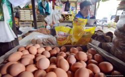 Harga Telur dan Ayam Turun Tajam, Dipicu Penurunan Daya Beli
