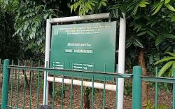 Dua Dekade PP Hutan Kota Berlaku, Implementasinya Dinilai Masih Jauh dari Harapan