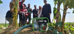 Ancaman Kekeringan di Indramayu, BBWS Citarum Pantau Kebutuhan Air Petani