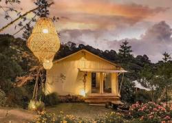 Bukan Cuma Ciater! Ini 5 Wisata Hits Subang yang Lagi Viral, Cocok Buat Self-Healing Akhir Pekan