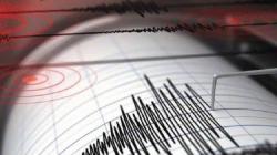 Gempa M 7,7 Guncang Mbay Nagekeo, BMKG Keluarkan Peringatan Dini Tsunami