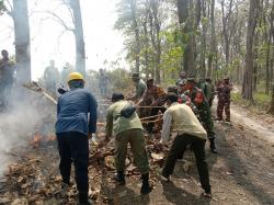 Pembakaran Lahan di Batang Telan Korban Jiwa, Polda Jateng Ingatkan Bahaya Karhutla