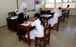 Guru PPPK Paruh Waktu Berpeluang Ikut Tes CPNS 2026, Pemerintah Siapkan Skema Baru