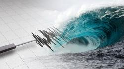 Tsunami Terdeteksi di Baubau dan Bulukumba usai Gempa M 7,7 Guncang Mbay Nagekeo