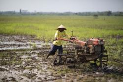 Anak Muda Indramayu Makin Enggan Jadi Petani, Padahal Regenerasi Itu Penting