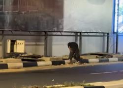 Viral di Media Sosial, Pelaku Pencurian Besi Terowongan Pelita Akhirnya Ditangkap