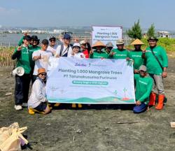 Kapas Selection Tanam 1.000 Mangrove di Pesisir Semarang, Perkuat Upaya Cegah Abrasi
