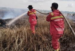 Kebakaran Hanguskan 9,7 Hektare Lahan di Inhu, 2 Helikopter Dikerahkan Padamkan Api
