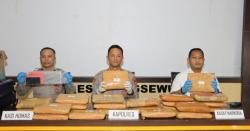 Bawa 24 Kg Ganja ke Lampung, Kurir Asal Sumut Diciduk Satres Narkoba Polres Pringsewu