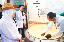 BBIB Singosari Kembangkan Semen Beku Wagyu dan Belgian Blue