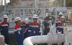Komut Pertamina Cek Langsung Kesiapan SAF dan Biosolar B50, Dukung Target Net Zero Emission