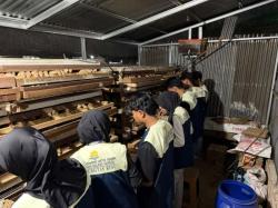 Ih Telurnya Glowing dan Hangat! Cerita Seru Mahasiswa KKN Unri Berburu Telur Puyuh di Pekanbaru