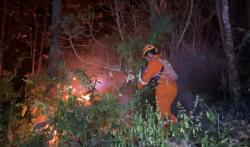 Kebakaran Hutan 2 Desa di Ponorogo, Petugas Gunakan Alat Sederhana Padamkan Api