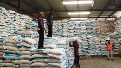 Penyaluran Pupuk Bersubsidi di Lamongan Dipermudah, Stok Disebut Mencukupi