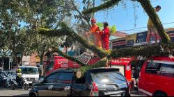 Pohon Besar Tumbang di Jalan Raya Bandung–Cianjur, Timpa Tiga Kendaraan dan Lima Orang Terluka