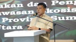 Kerusakan Leuser Meningkat, Pemda Diminta Lebih Aktif