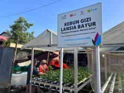 Kebun Gizi Lansia Binaan PLN di Samarinda Jadi Contoh Pemberdayaan Berkelanjutan