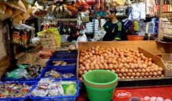 Libur MBG Picu Harga Ayam dan Telur Anjlok di Lampung Utara, Pedagang Keluhkan Pasar Sepi