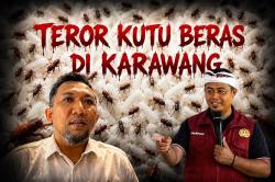Pernyataan 'Nyeleneh' Bulog Karawang Soal Kutu Beras Dipatahkan Teori Ilmiah Akademisi UNSIKA