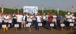 Menteri LH dan Universitas Harkat Negeri Tanam 2.045 Mangrove di Brebes Cegah Kerusakan Pantai