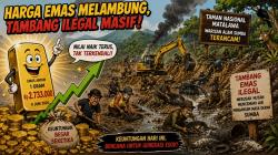 Harga Emas Kembali Melonjak, Tambang Emas Ilegal di TN Matalawa  Masih Beri Alarm